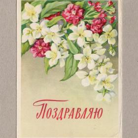 Открытка СССР Поздравляю 1961 Ходатаева подписана цветы праздник подарок торжество букет внимание