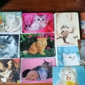 Календарики кошки 12шт. Цена за набор 